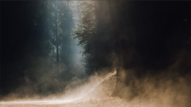 L'esprit des lieux et la forêt L'appel de la Forêt et les esprits des Lieux...