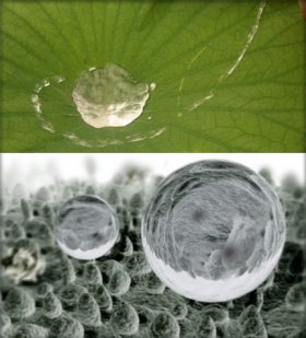 Bio-inspiration et Bio-mimétisme